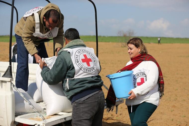موظفو الصليب الأحمر على الحدود الشرقية لقطاع غزة
