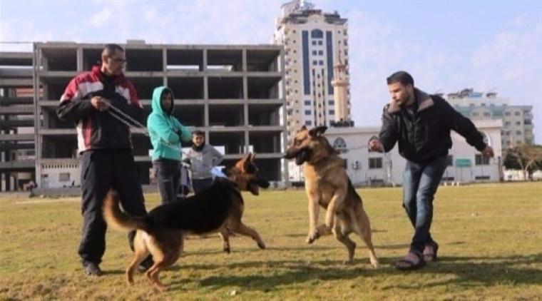 مواطنون يصطحبون كلابهم في مدينة غزة (ارشيف)