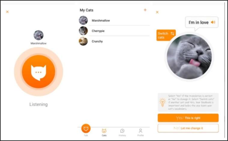 تطبيق "مياو توك" الجديد يساعد على ترجمة مواء القطط !