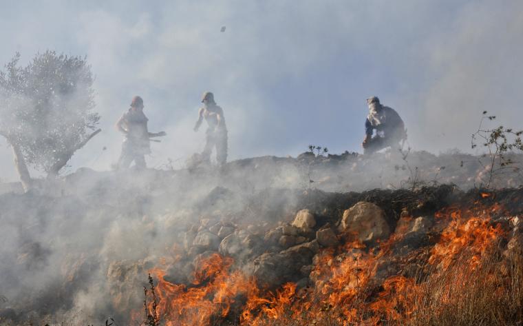 مستوطنون يحرقون الاف الدونمات في نابلس
