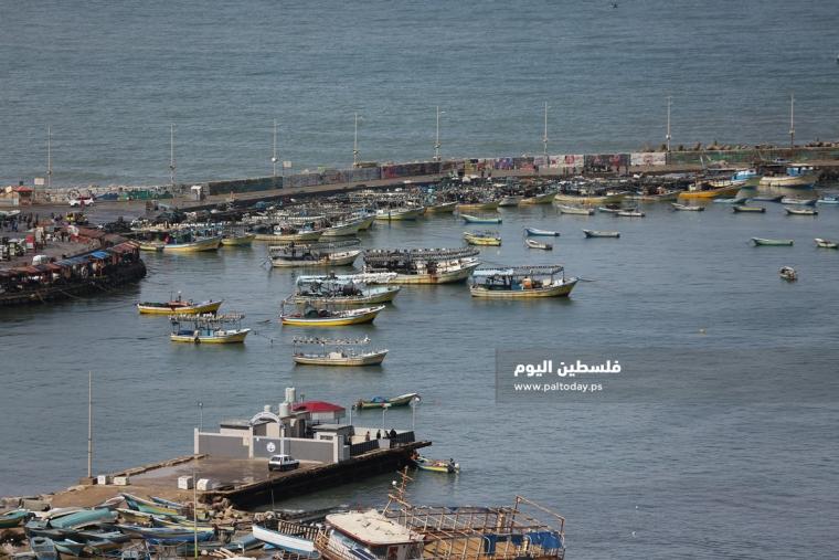 ميناء غزة (3).JPG