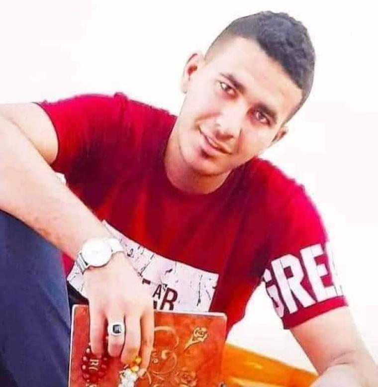 طير