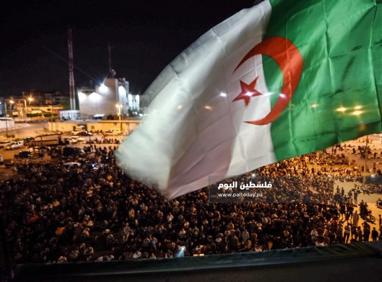 فوز منتخب الجزائر بلقب كأس أمم افريقيا 2019