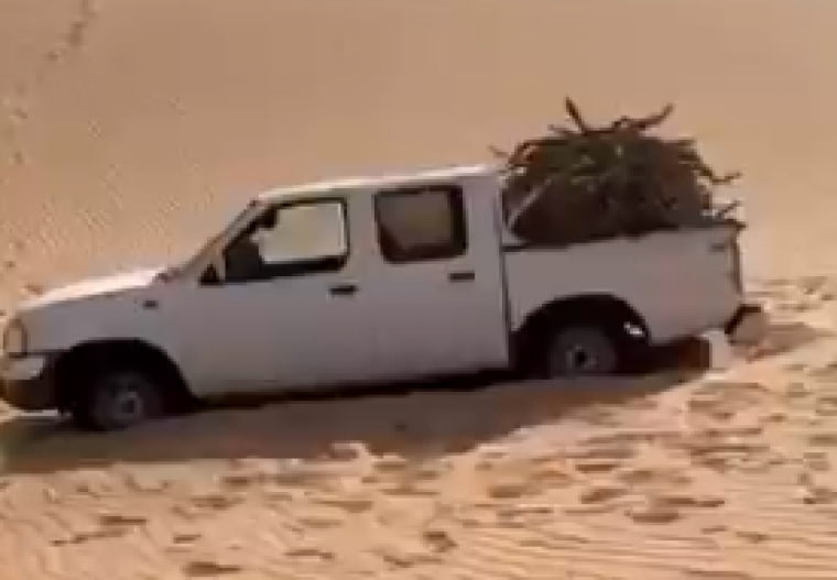 السعودي المفقود في السعودية