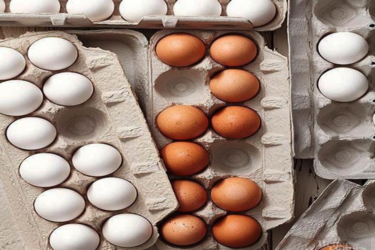 البيض الابيض والبيض البني