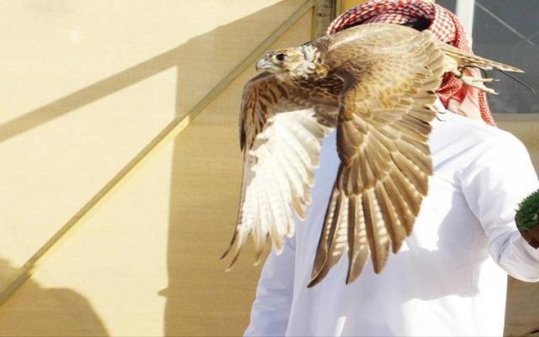 اسعار الاسلحة في معرض الصقور