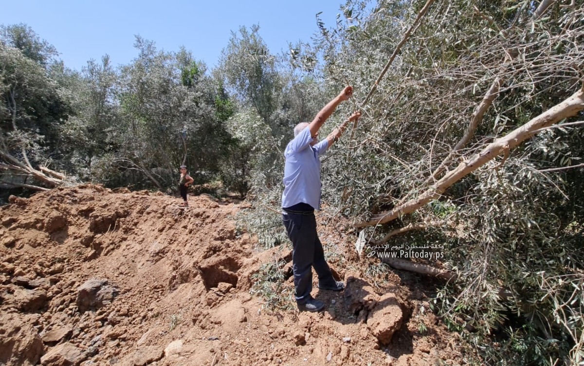 قصف الاحتلال الإسرائيلي لأراضٍ زراعية شمال قطاع غزة (9).jpeg