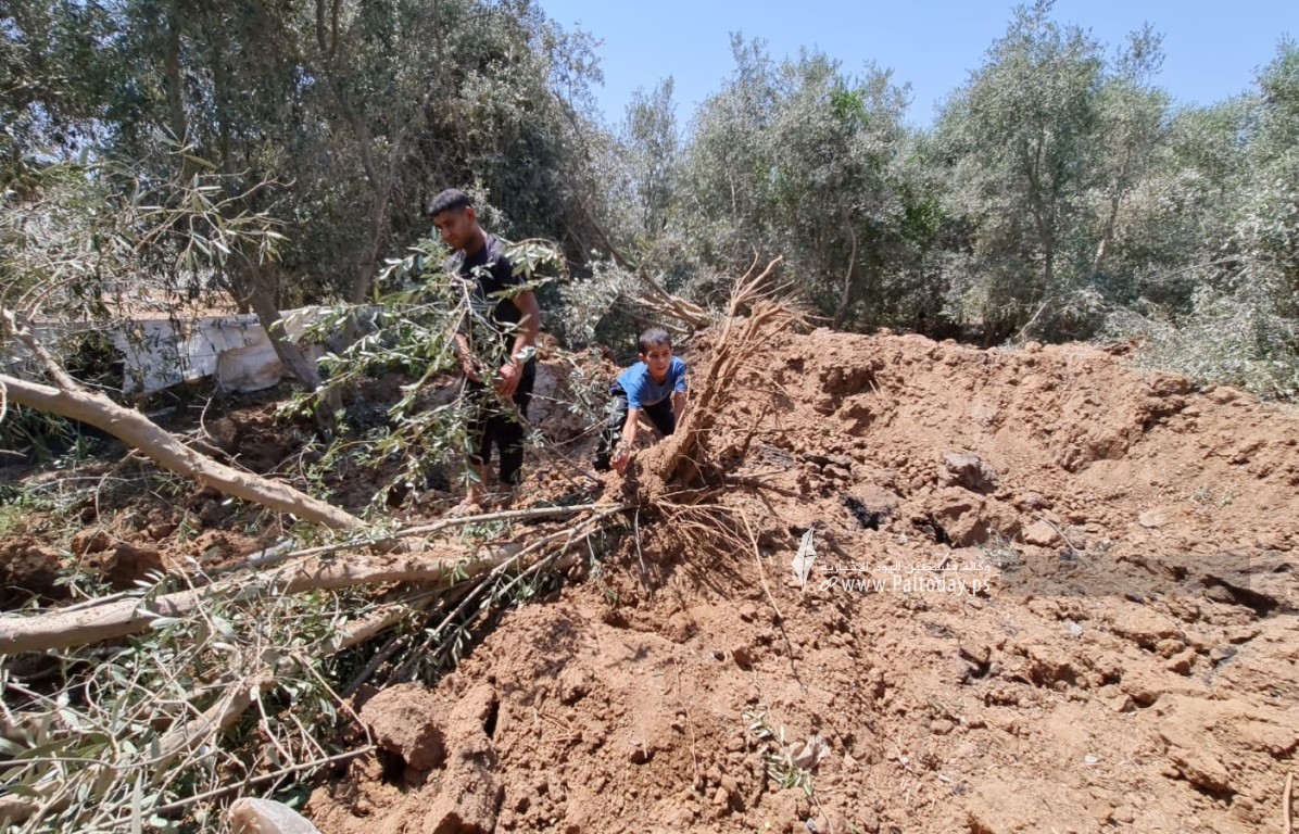  قصف الاحتلال الإسرائيلي لأراضٍ زراعية شمال قطاع غزة (1).jpeg