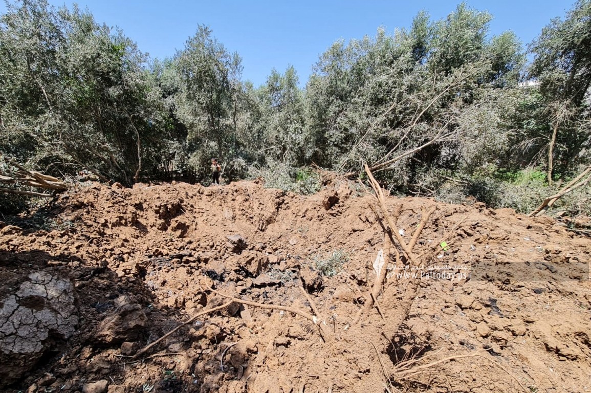 قصف الاحتلال الإسرائيلي لأراضٍ زراعية شمال قطاع غزة (13).jpeg