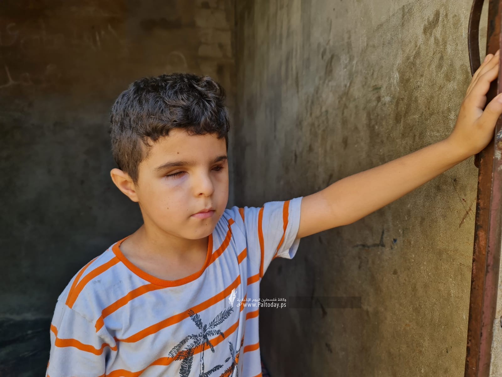 الطالب محمد شعبان (1).jpeg