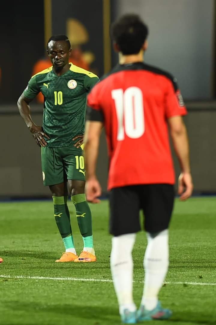 مباراة مصر والسنغال يلا شوت