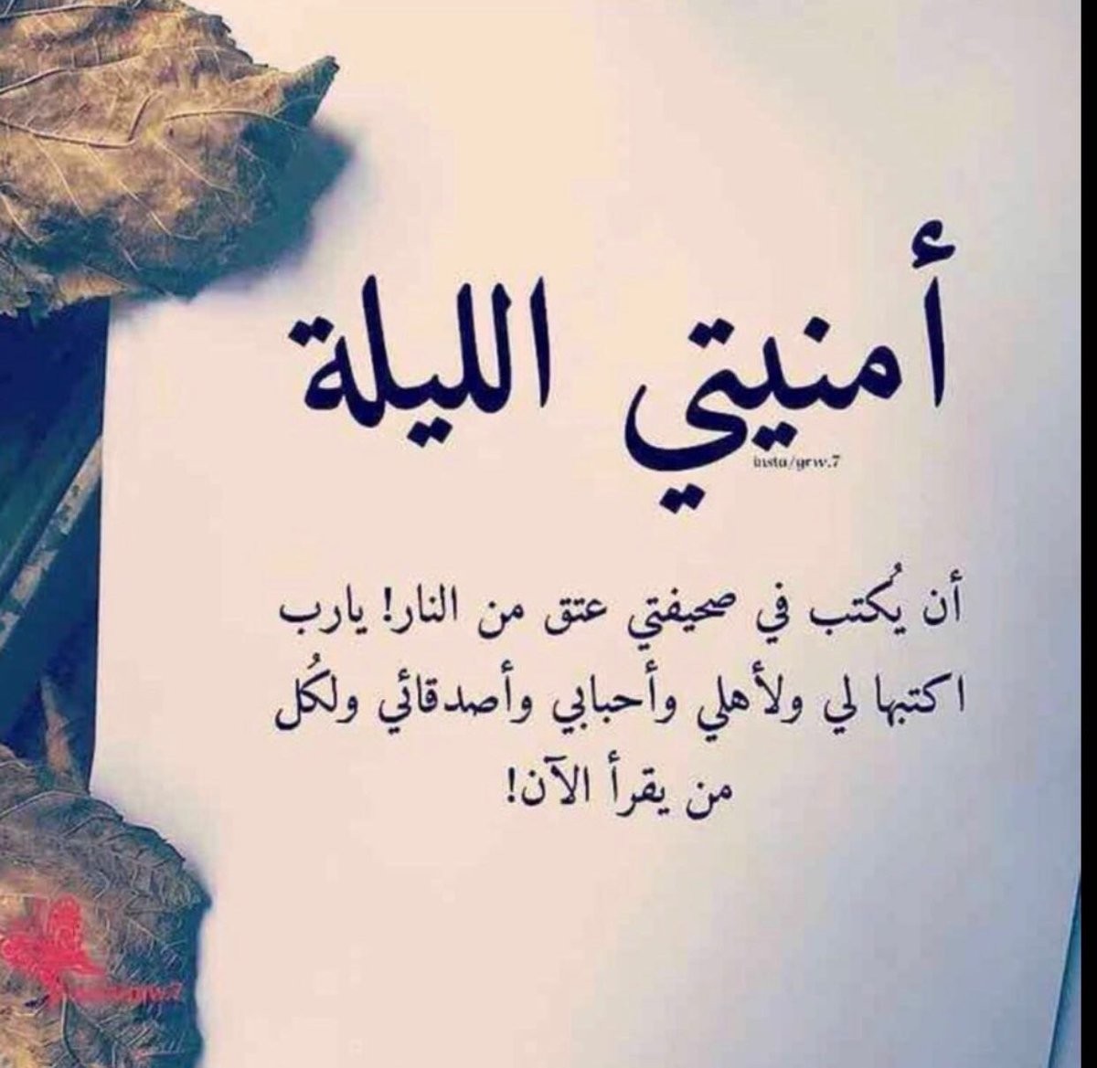 ليلة القدر6.jpg