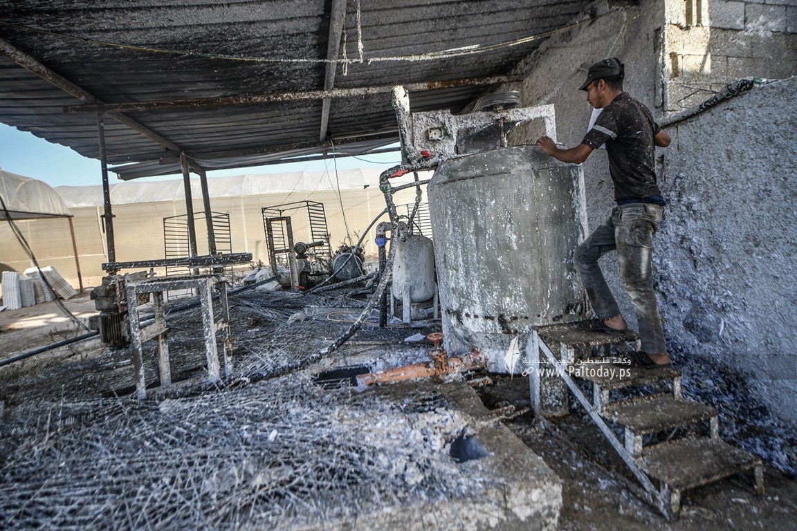 تدوير الورق (6).jpg