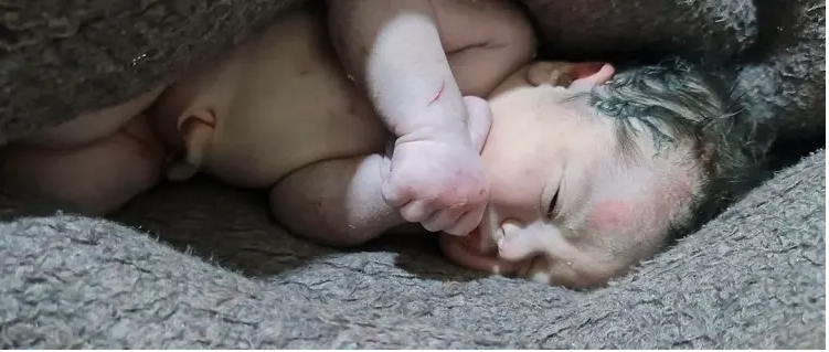 لقطة الشاشة 2023-02-07 214147.png