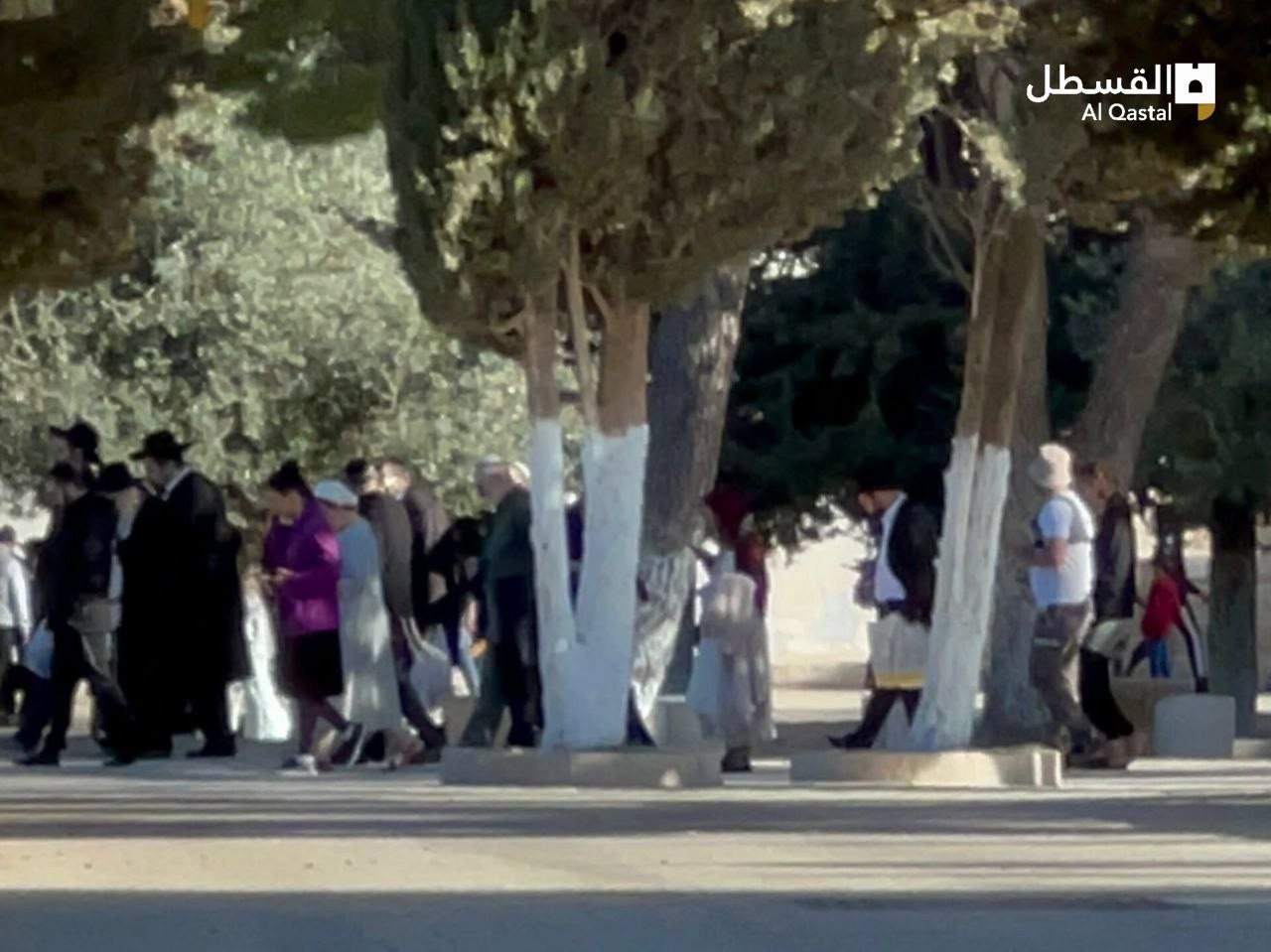  مستوطنون يقتحمون المسجد الأقصى المبارك بحراسة من قوات الاحتلال (1).jpeg