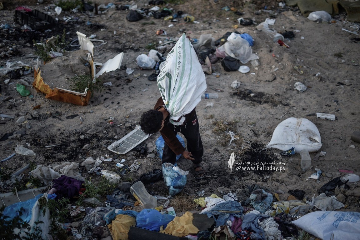 جمع نفايات من الحوايات في غزة 2023