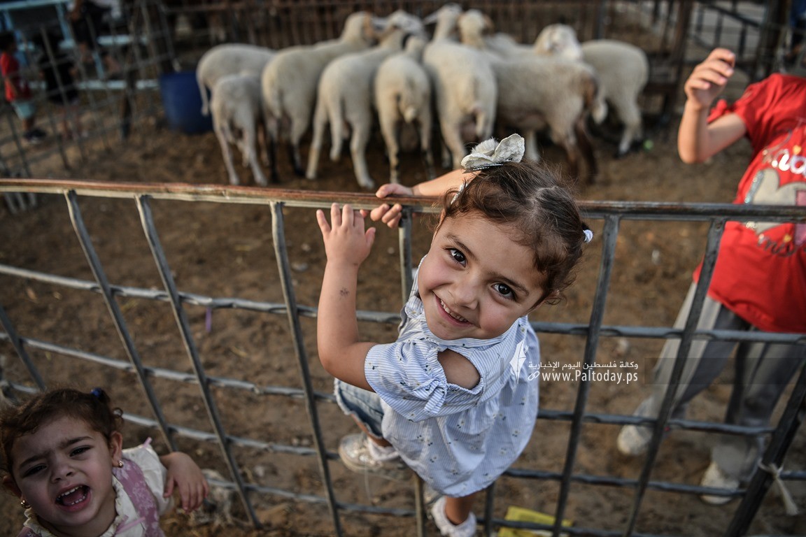 اطفال العيد (13).jpg