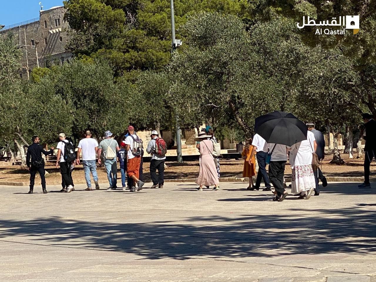 اقتحام الأقصى (16).jpeg
