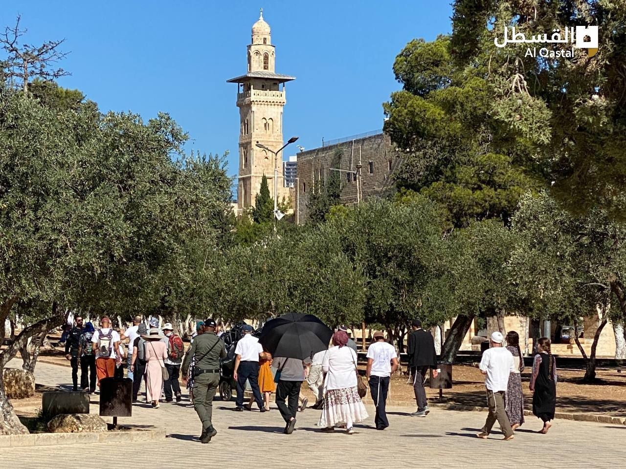 اقتحام الأقصى (15).jpeg