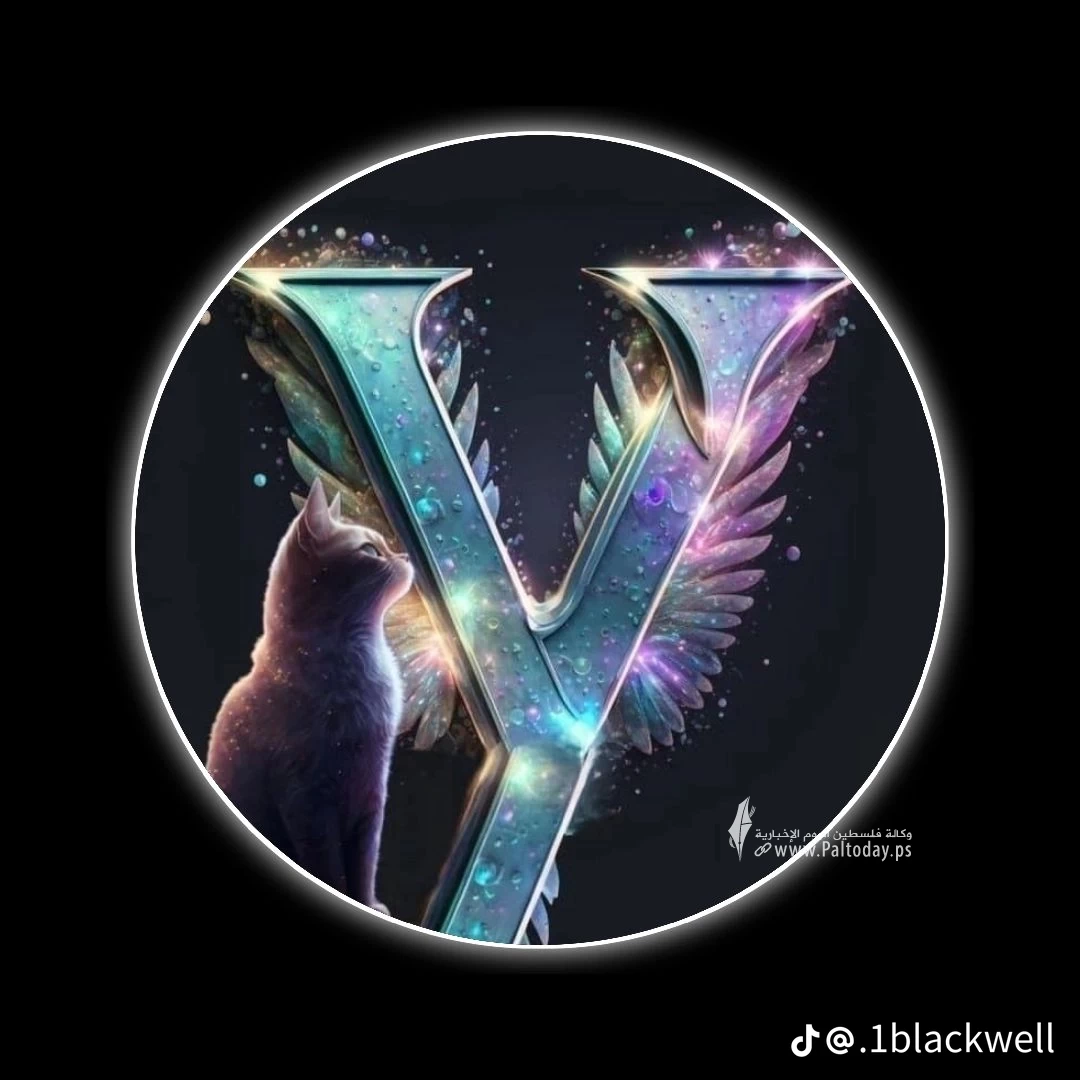 3128223c7dd542151a3cc497eaa529e6.png