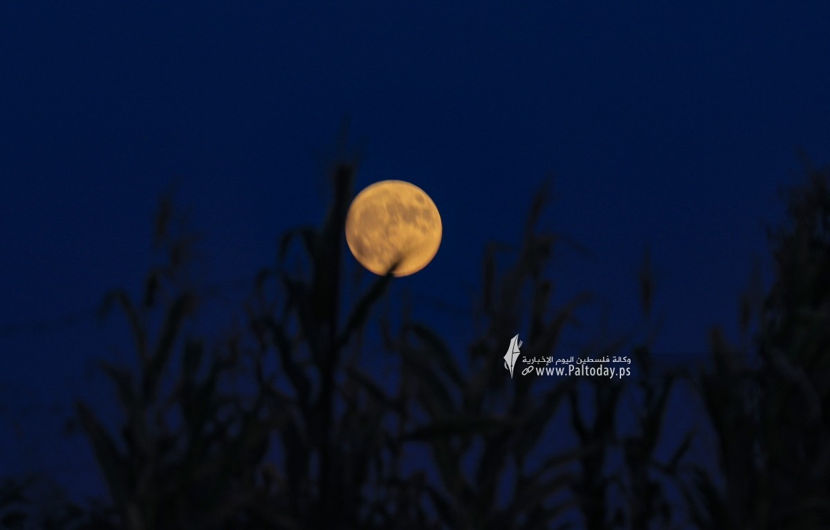  القمر من سماء قطاع غزة  هذا المساء (5).JPG