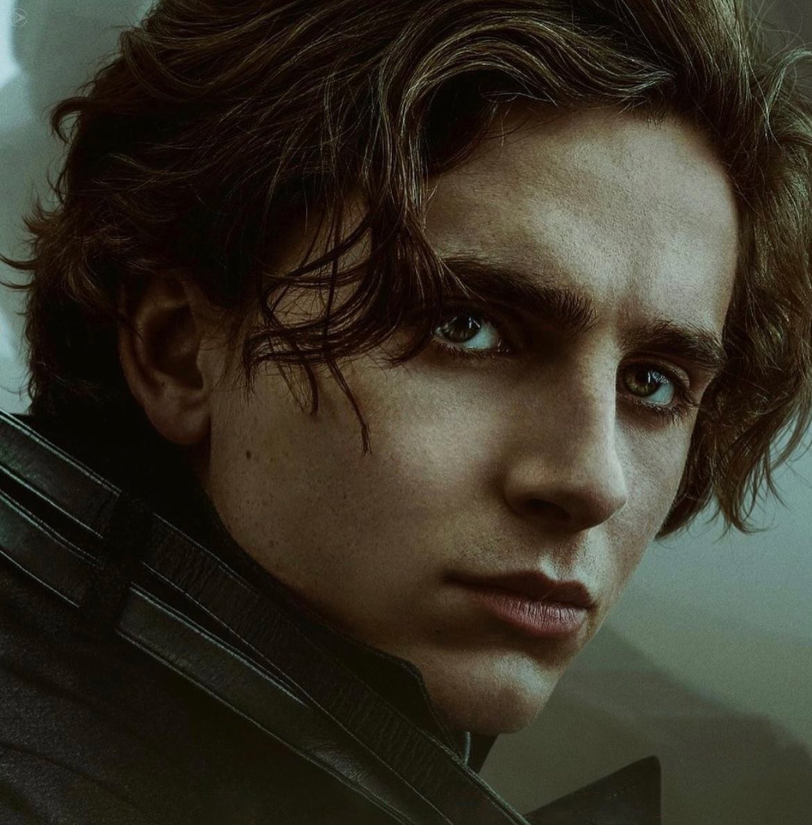 مشاهدة فيلم Dune 2 الجزء الثاني مترجم 2023