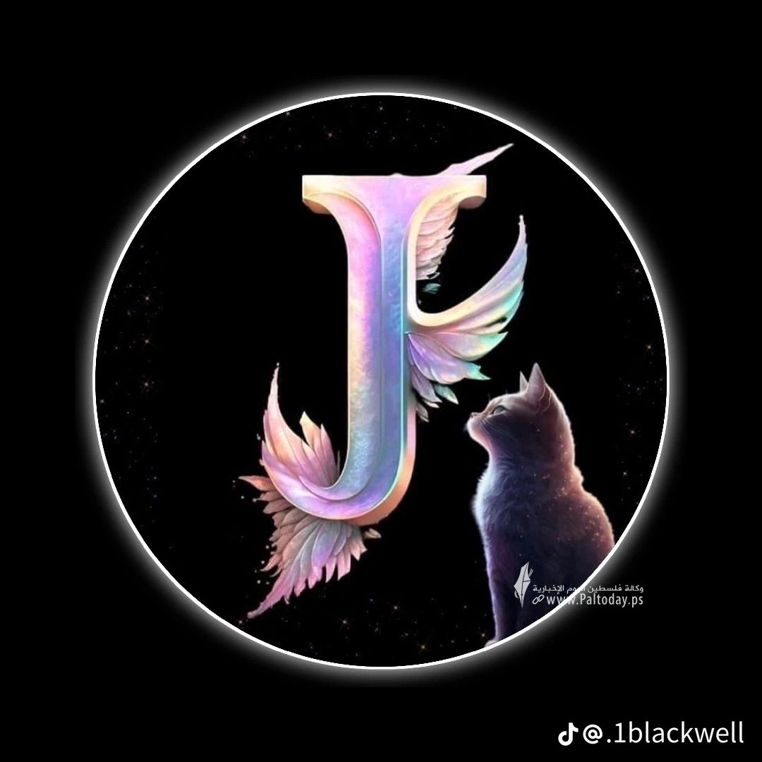 17fd5559af862ee1852e738e5dd544b5.png