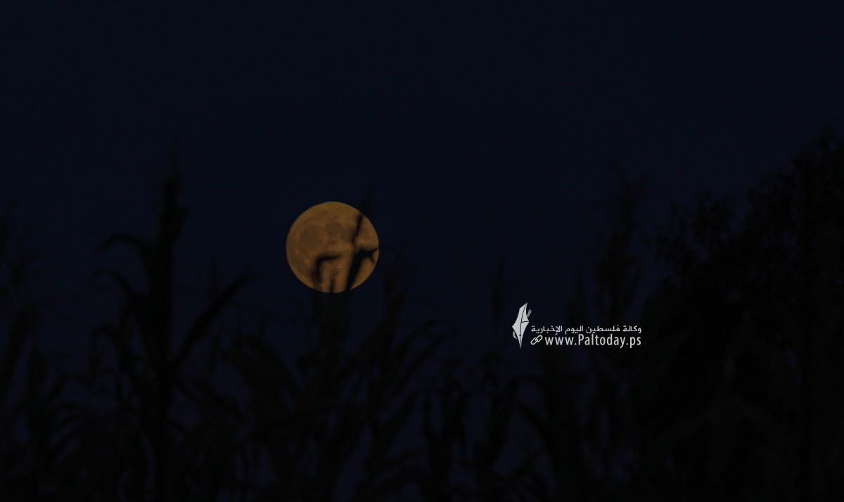  القمر من سماء قطاع غزة  هذا المساء (6).JPG