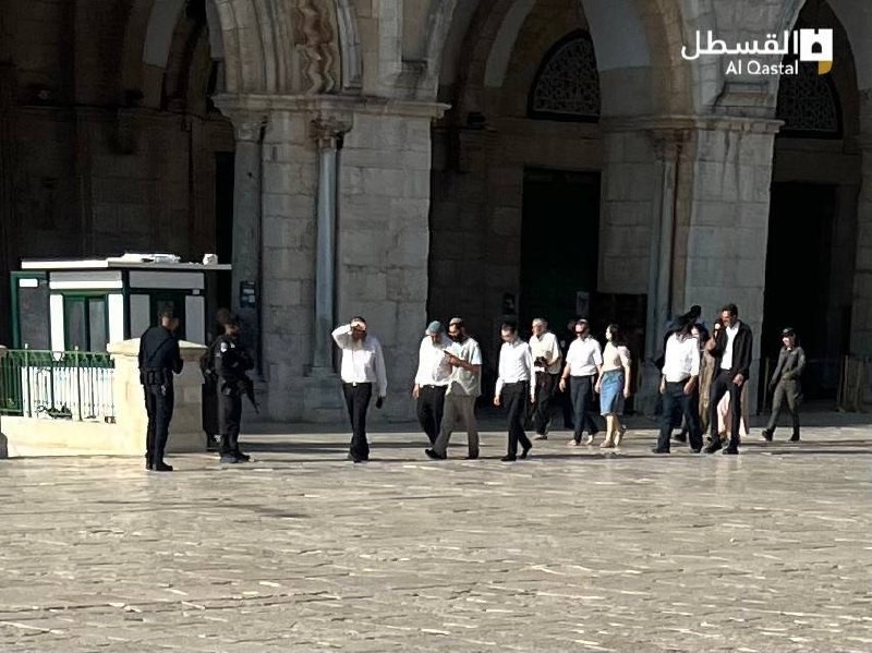 جانب من اقتحام المستوطنين للمسجد الأقصى المبارك بحماية من قوات الاحتلال (4).jpeg