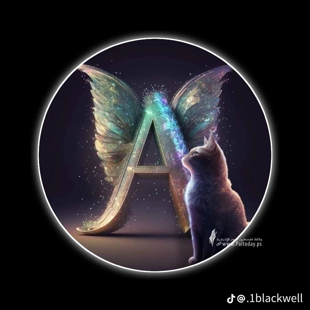 77cd65cd8a2bdc6d4845ca5aab30c533.png