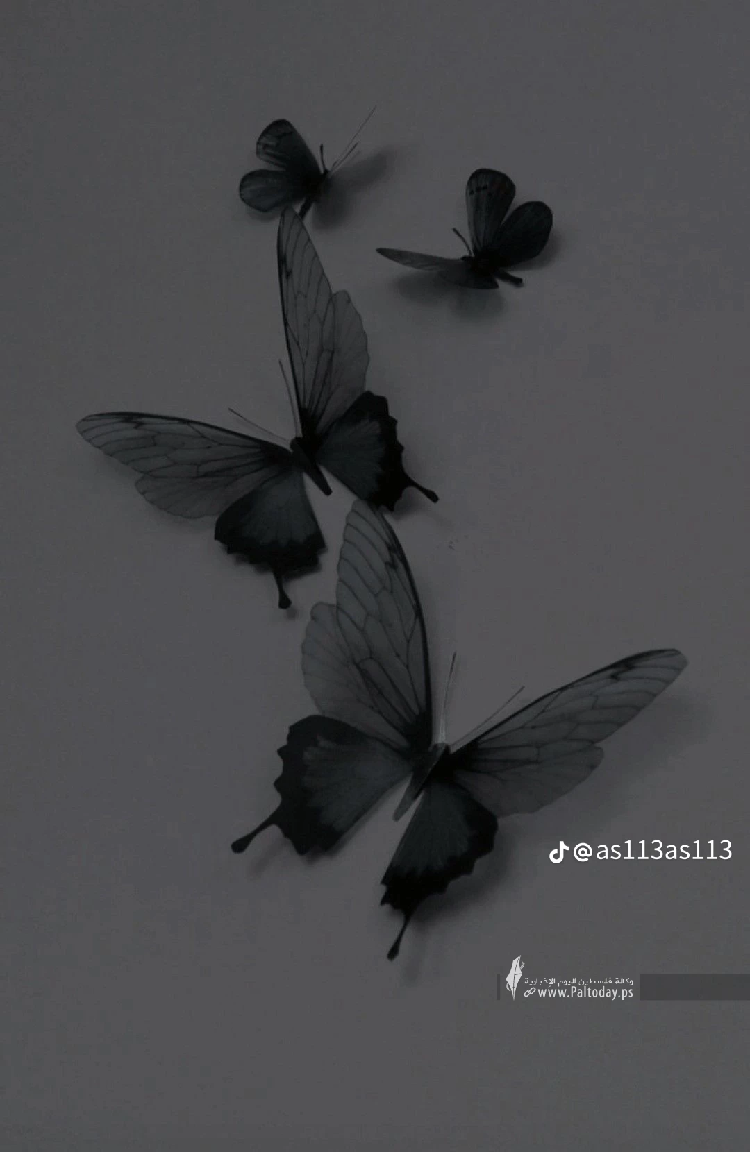 0e8f900842d835d48b5fc398a8736710.png