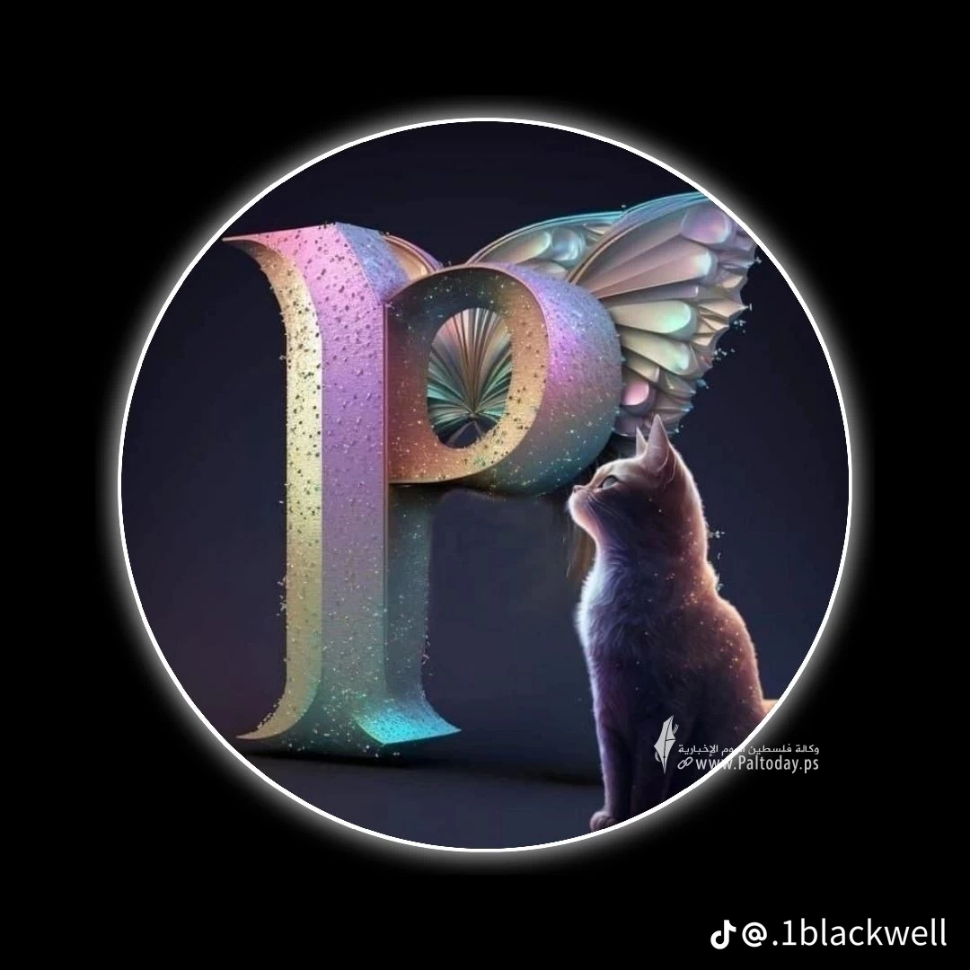 a4029e316aaff82e3d198442f79f6e93.png