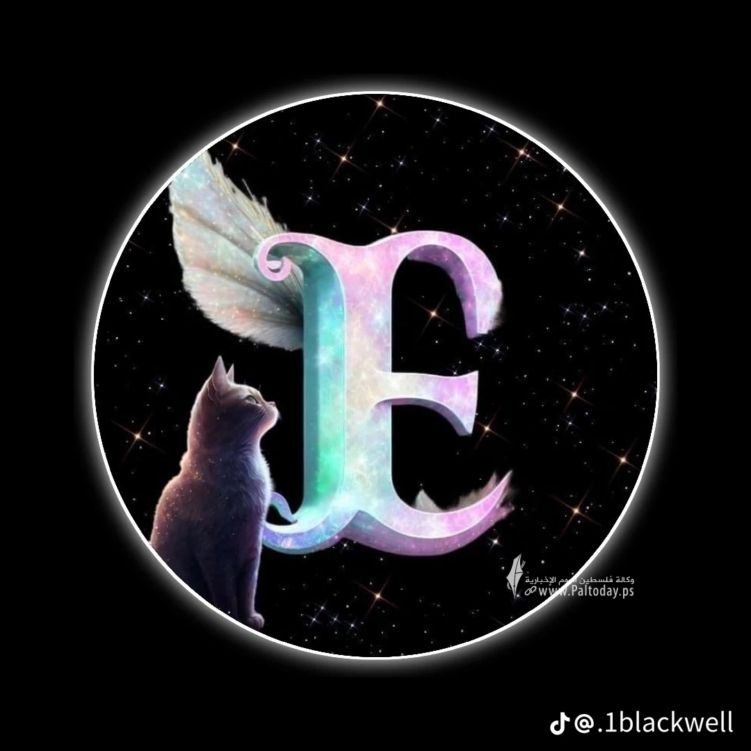765ba97e93ee951a07af3226c32d5207.png