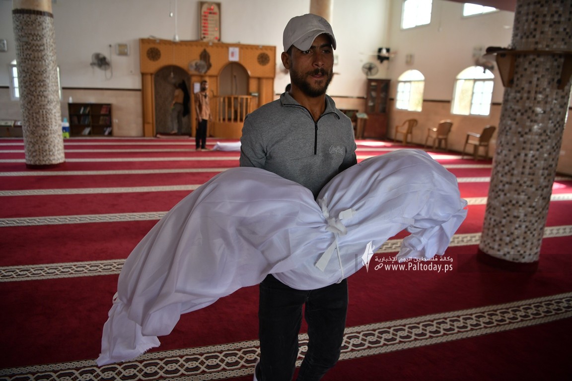 الناجية الوحيدة (2).JPG