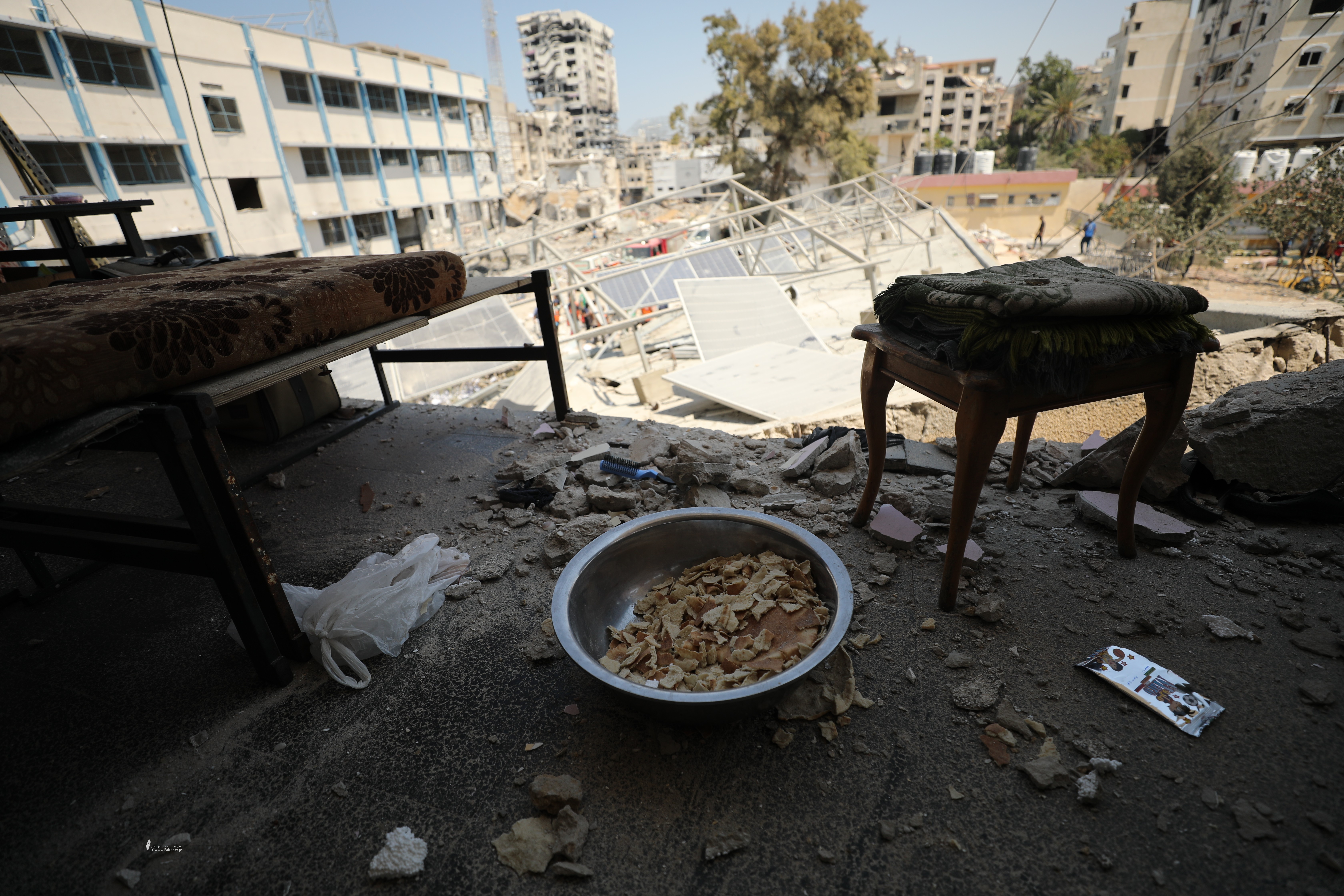 صور لمجزرة مدرسة مصطفى حافظ (16).JPG