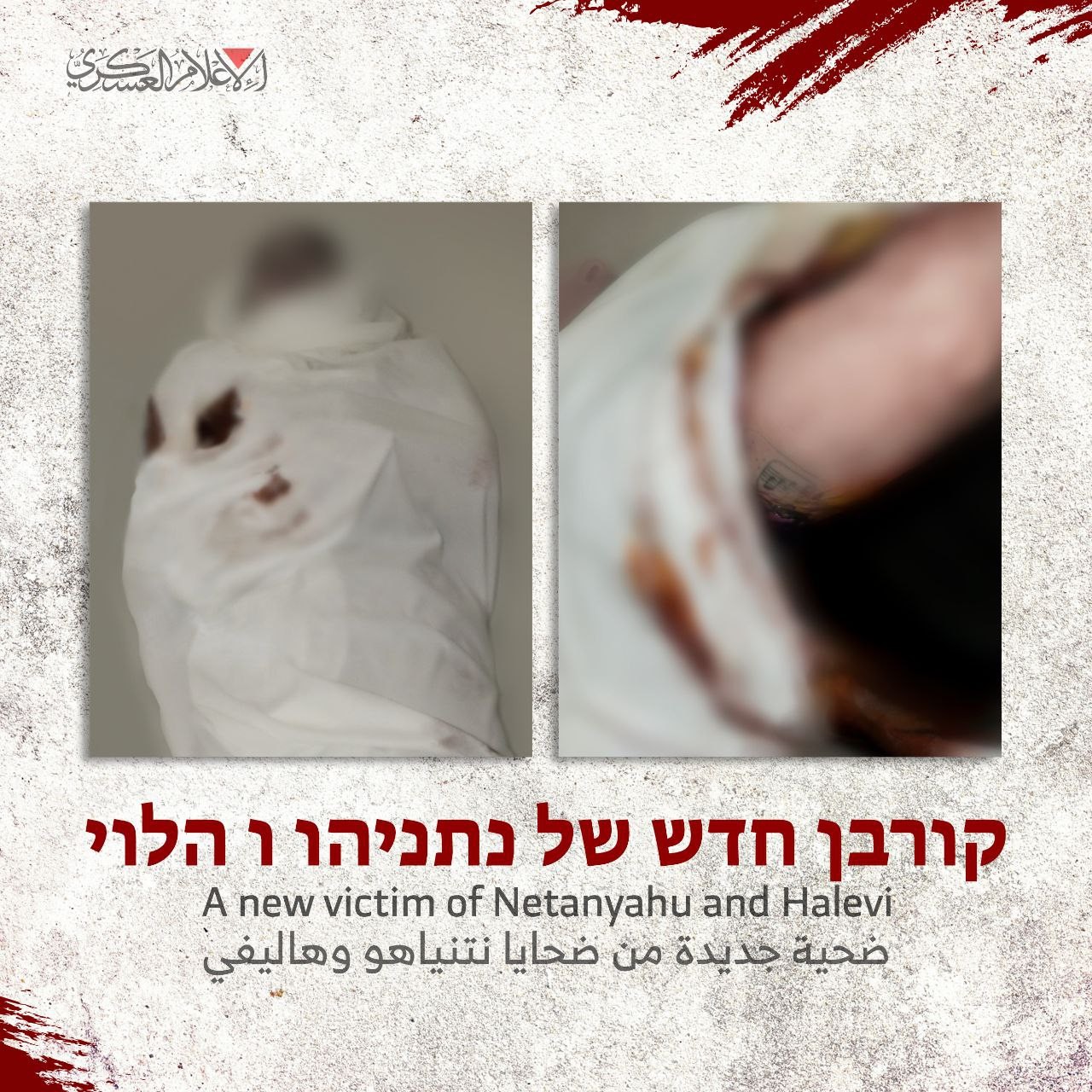 القسام 
