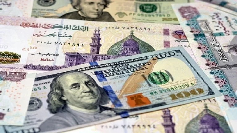 الجنيه المصري والدولار