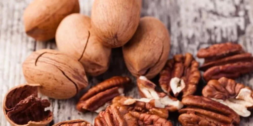 الجوز
