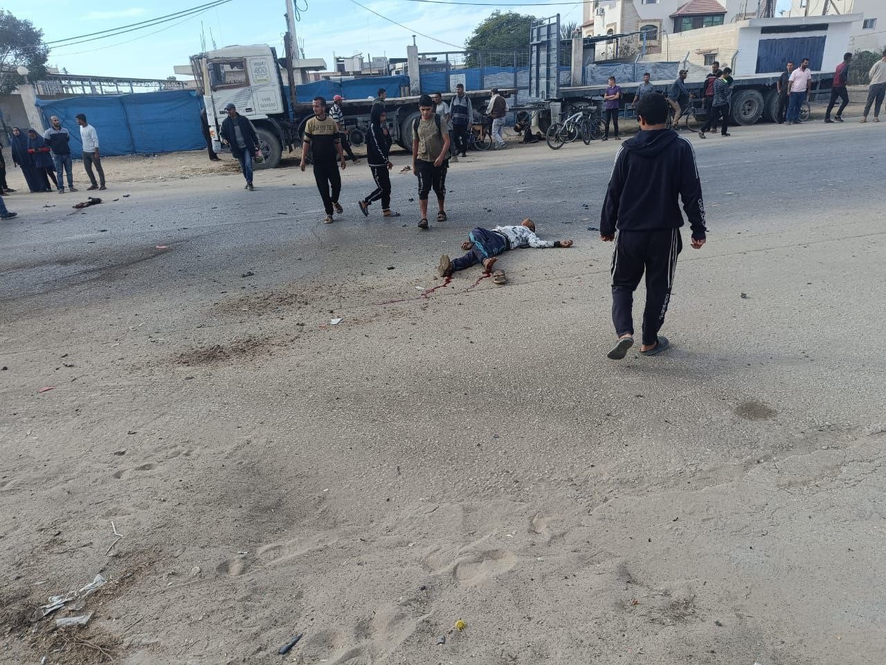 شهداء.