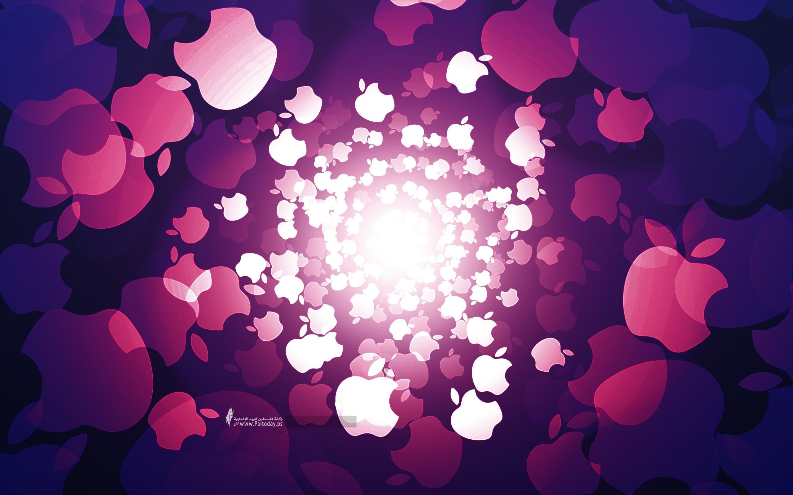 خلفية30