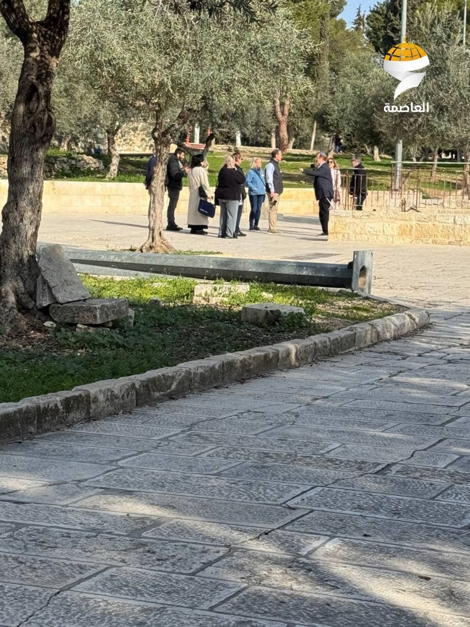 5352946942667253660